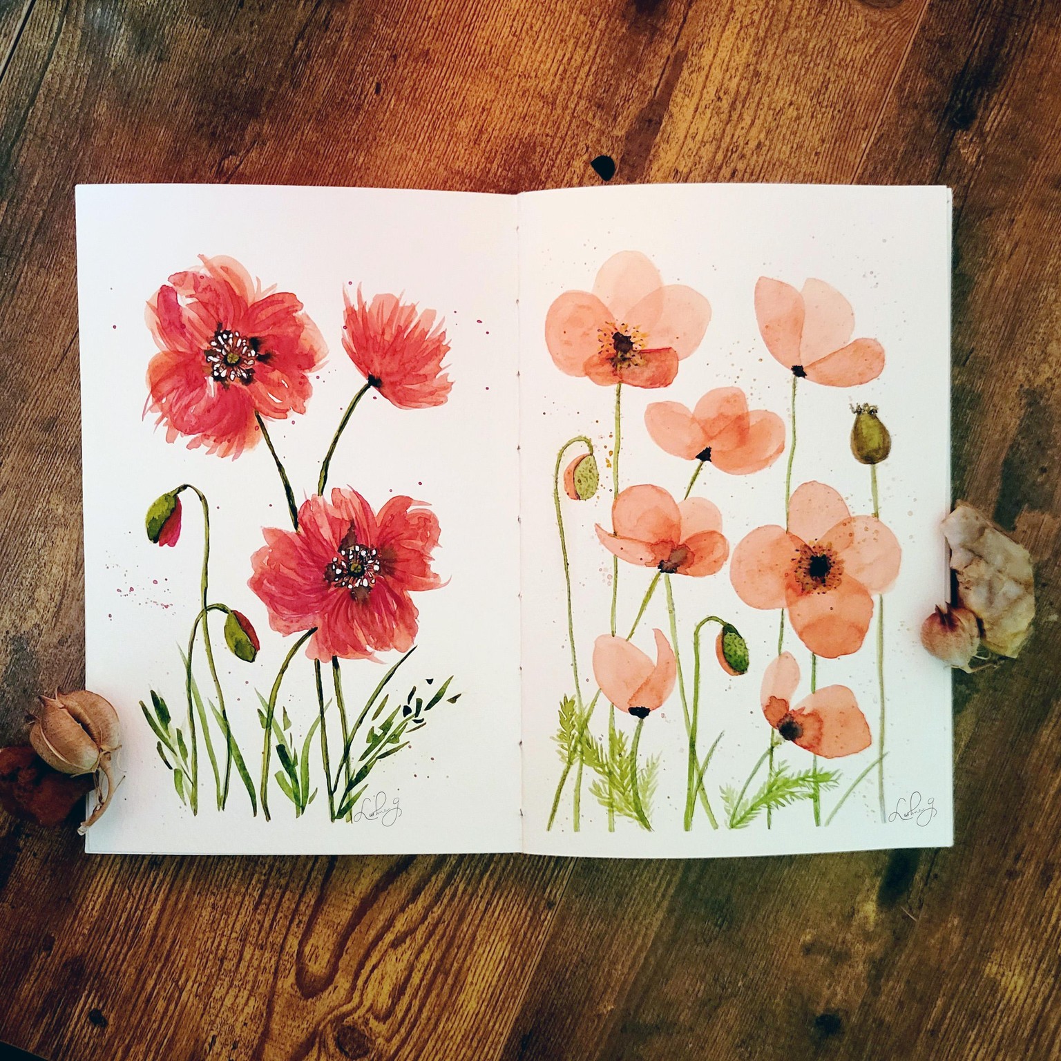 nothing but poppies - image 4 - student project