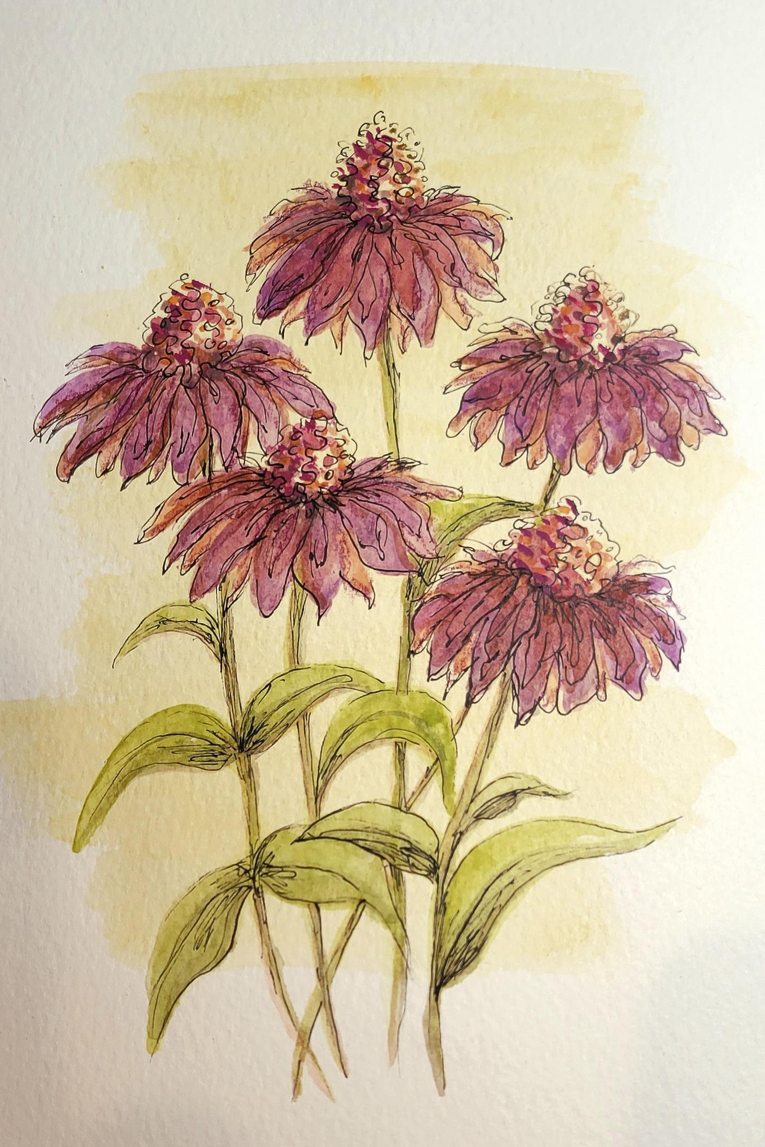 vintage flowers on backgrounds - image 2 - student project