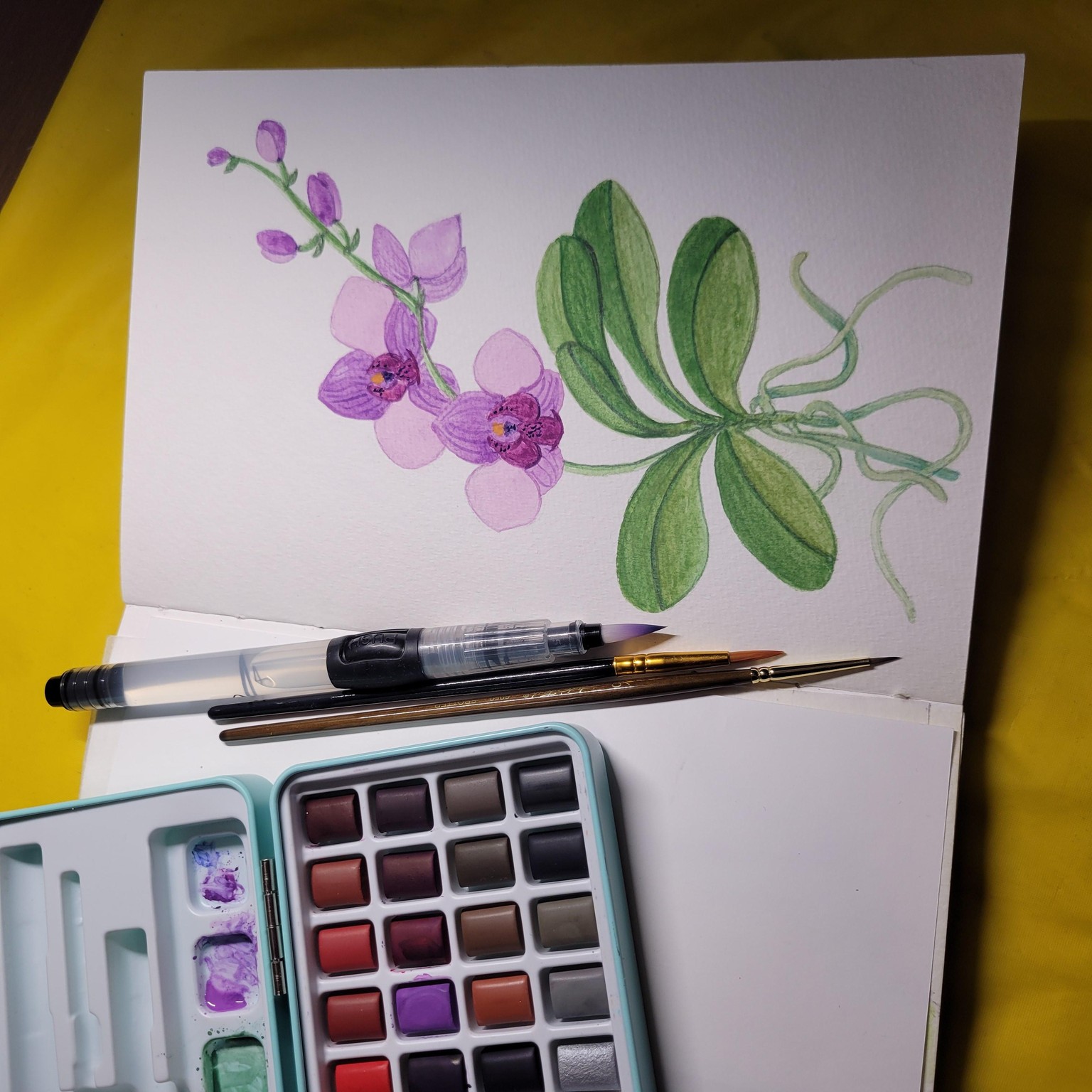 Orchid in Bloom - image 5 - student project
