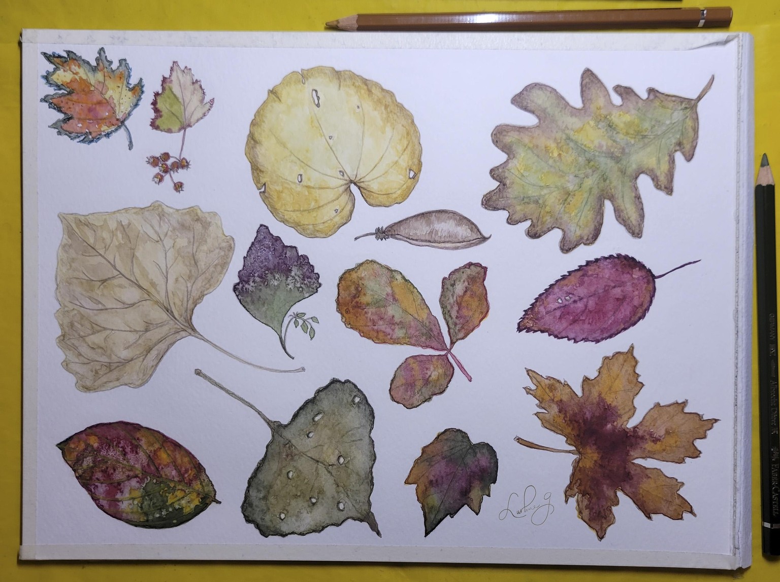 Falling Leaves - image 5 - student project