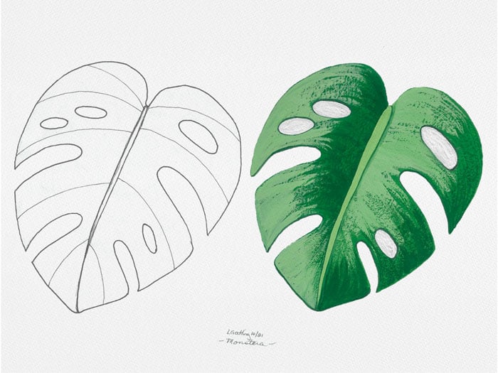 Tropical Leaves in Gouache - image 3 - student project