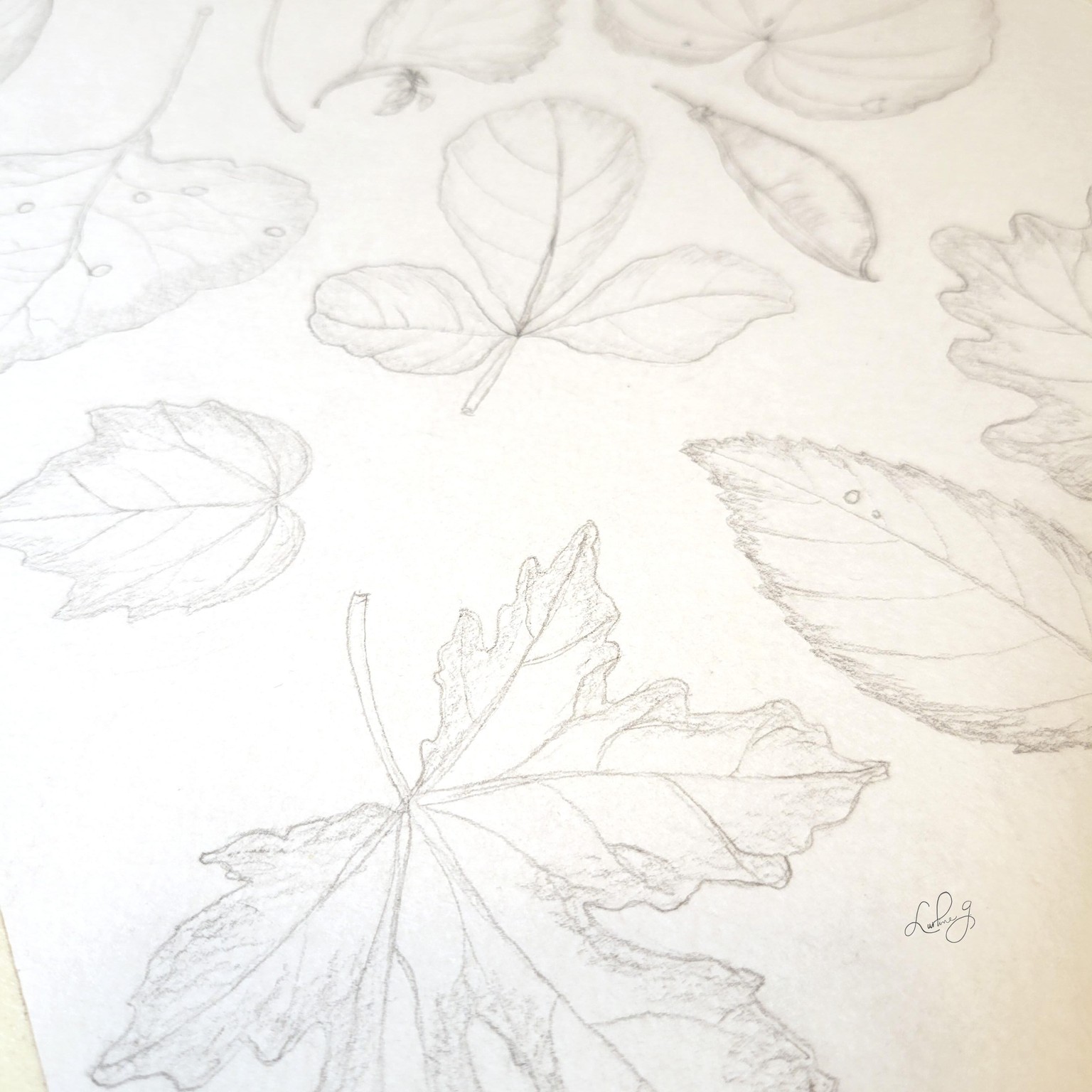 Falling Leaves - image 2 - student project
