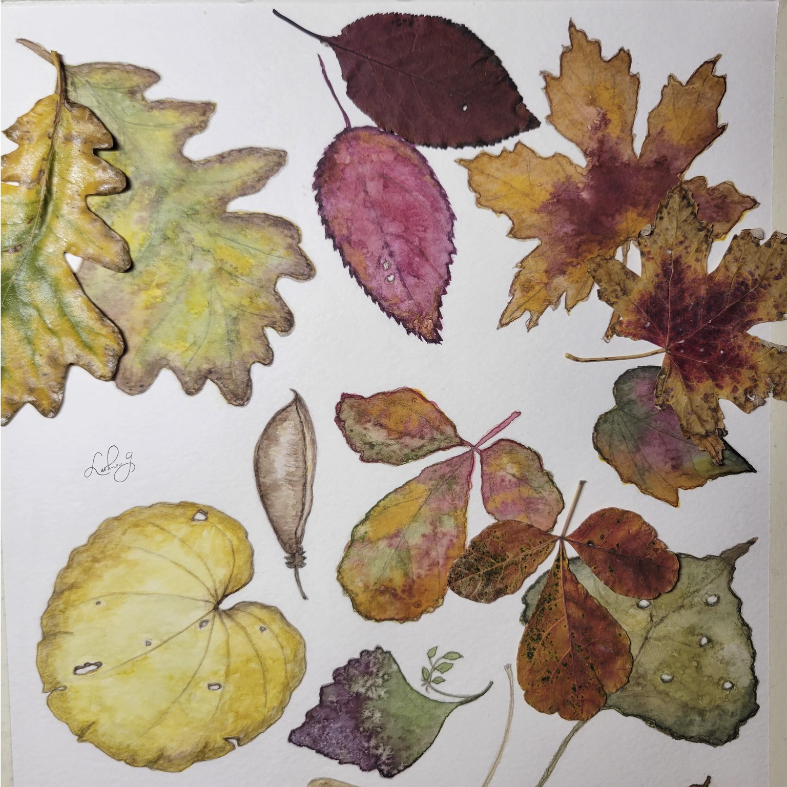 Falling Leaves - image 4 - student project