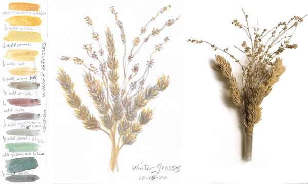 Winter skies and grasses - image 2 - student project