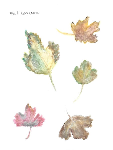 Leaf selections - image 1 - student project