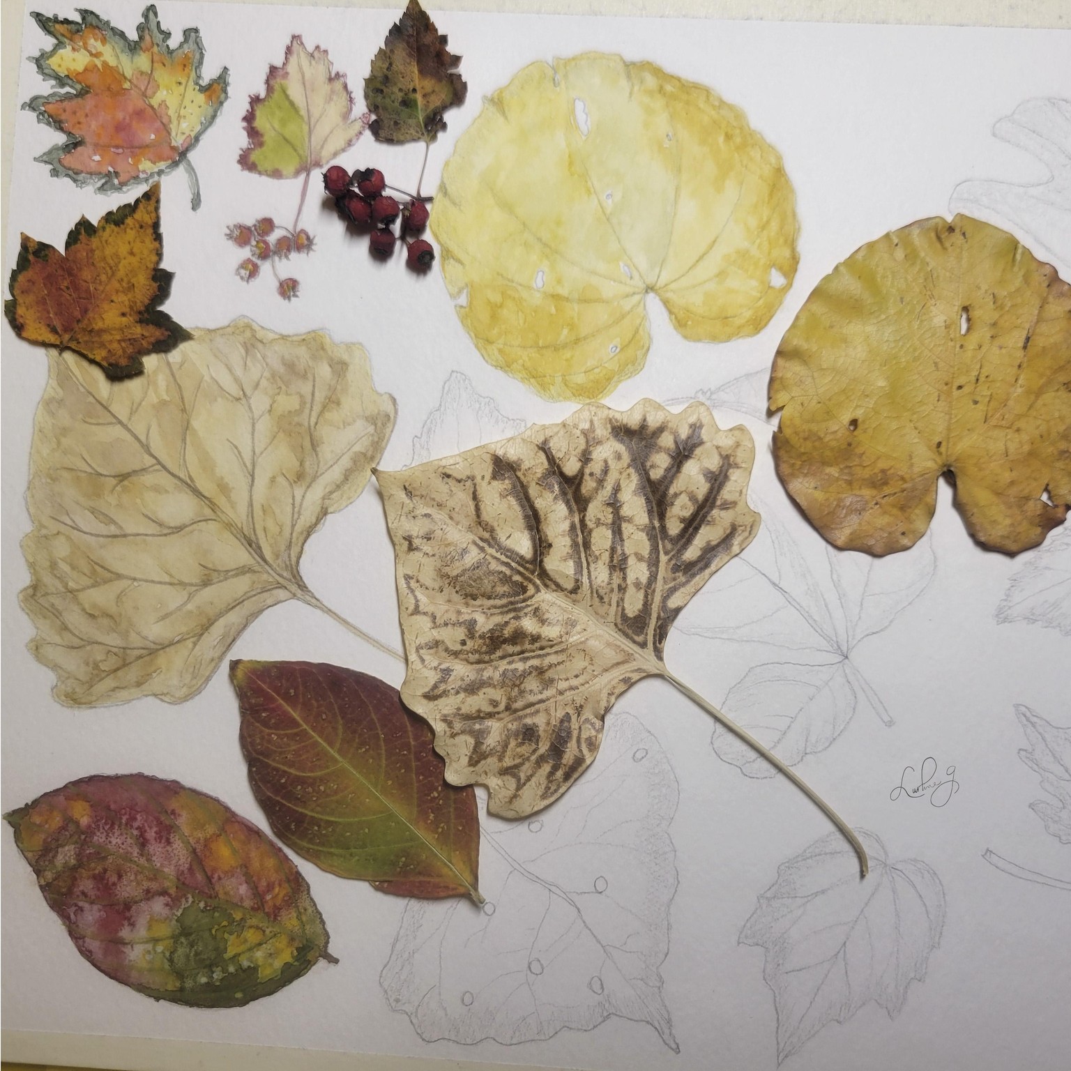 Falling Leaves - image 3 - student project