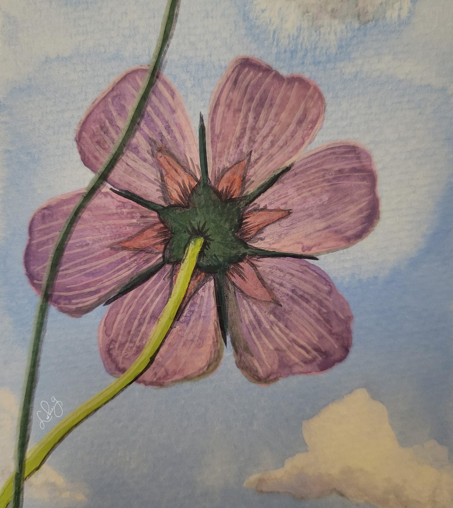 Summer's Cosmos - image 2 - student project