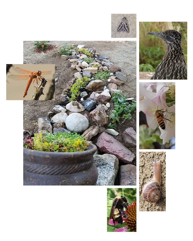 A work in progress - image 2 - student project