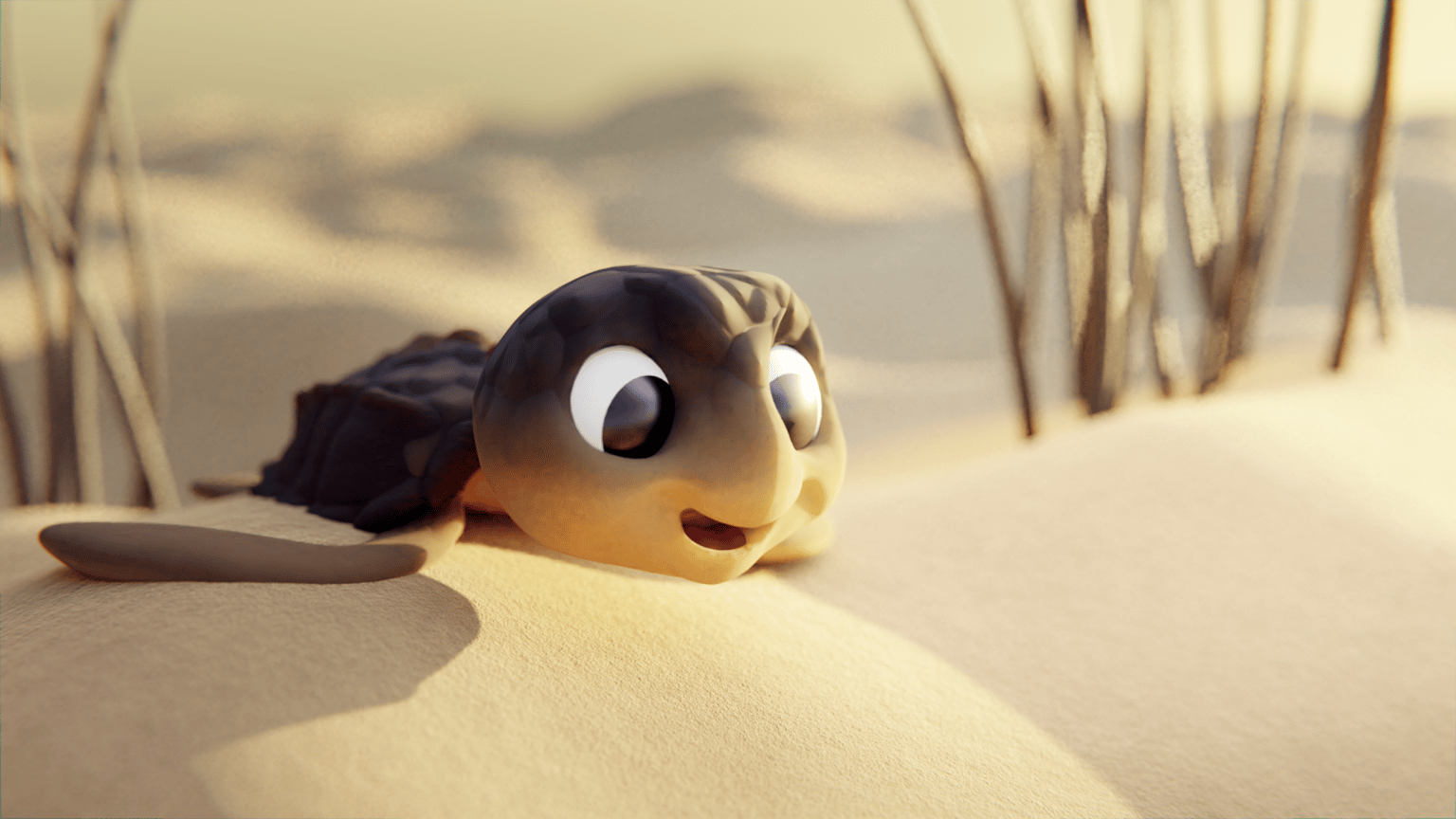 Turtle :) - image 1 - student project
