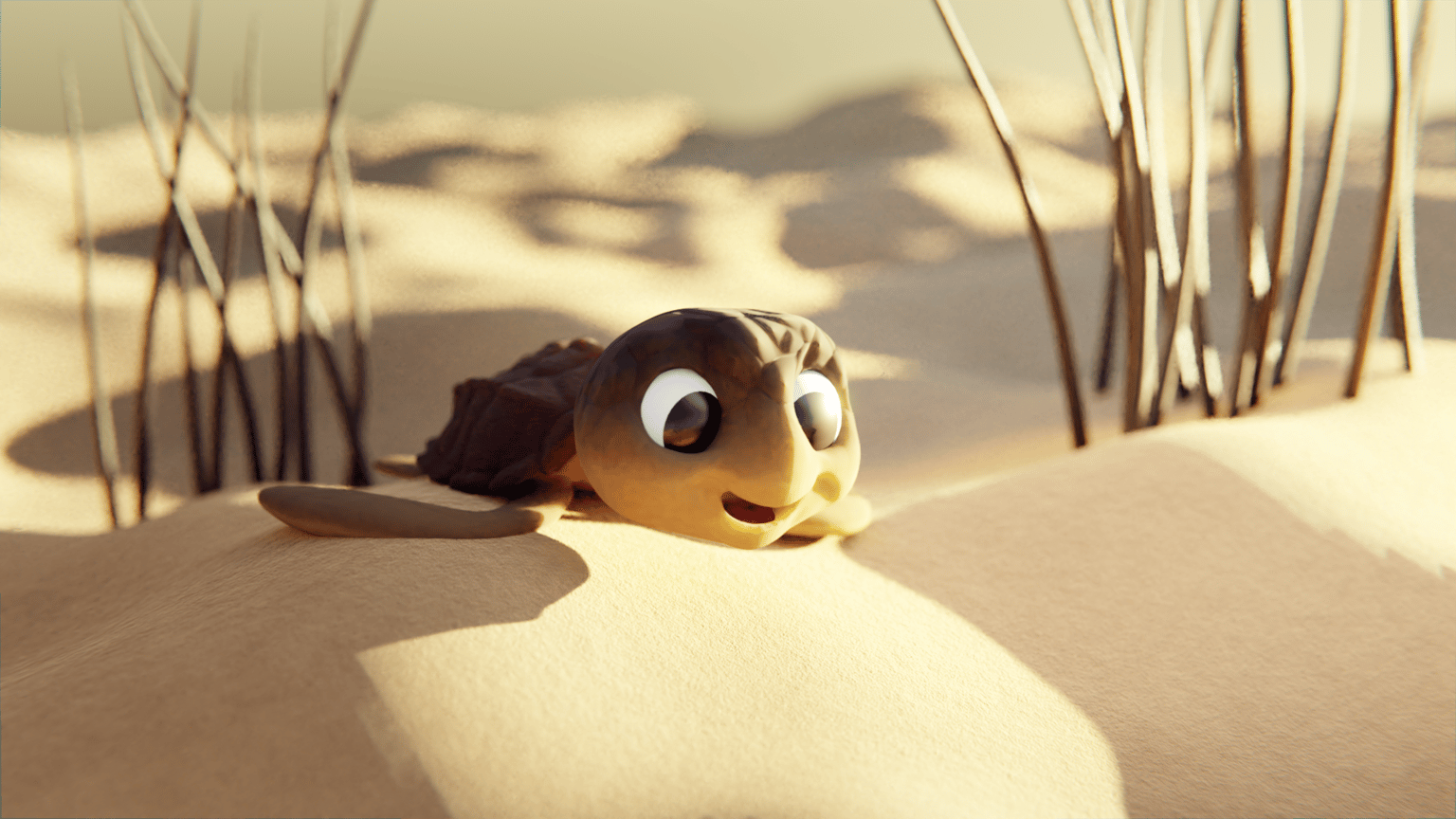 Turtle :) - image 3 - student project