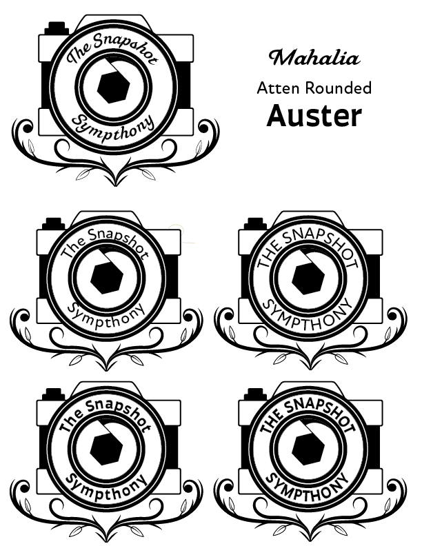 The Snapshot Symphony - image 3 - student project