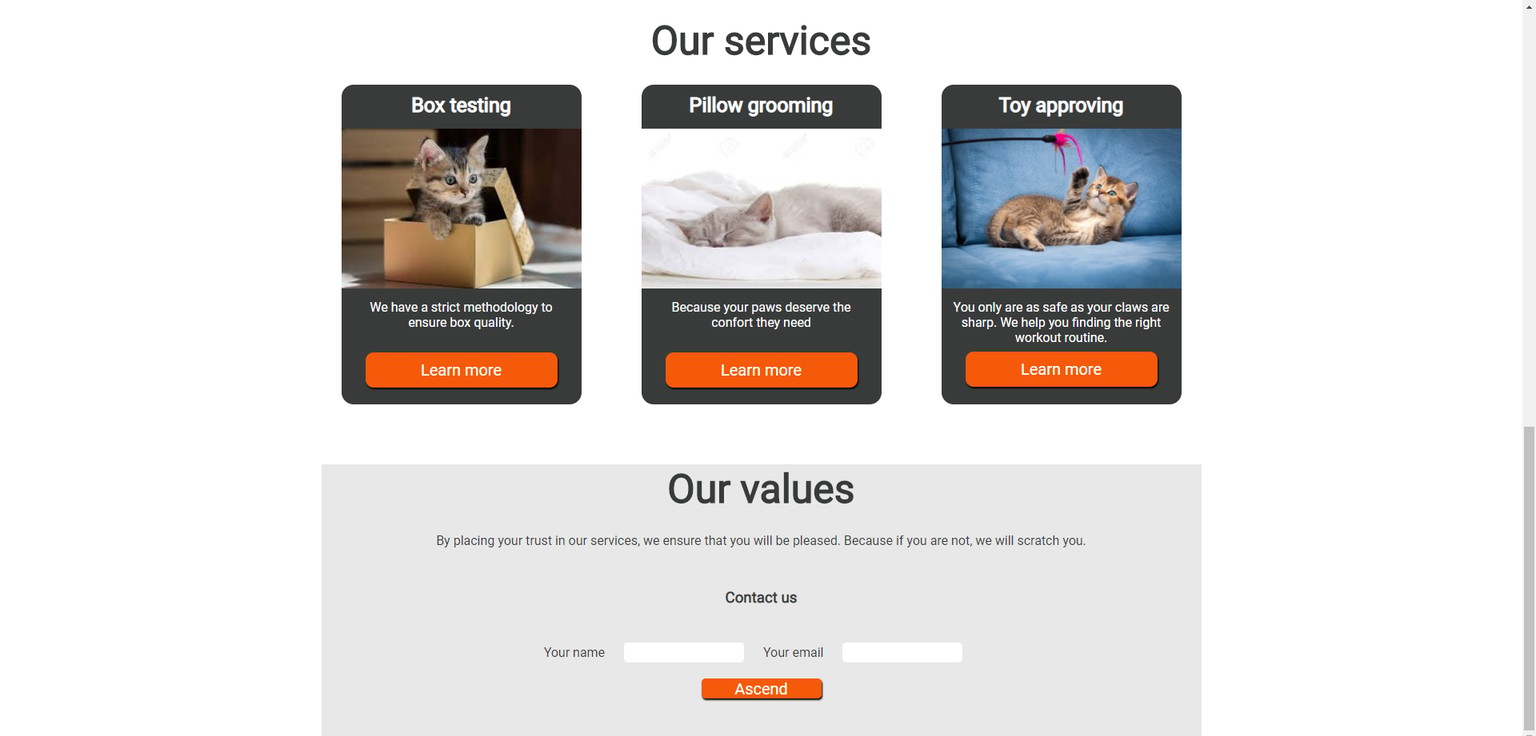 If cats made a website - image 3 - student project