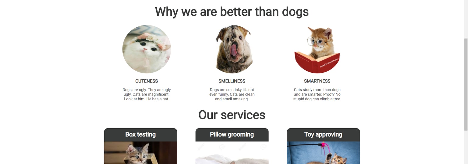 If cats made a website - image 2 - student project