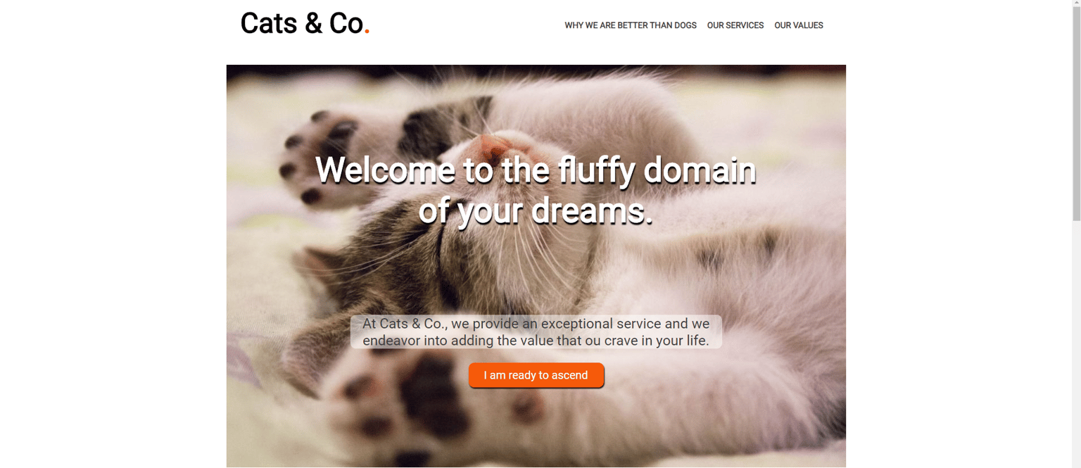 If cats made a website - image 1 - student project