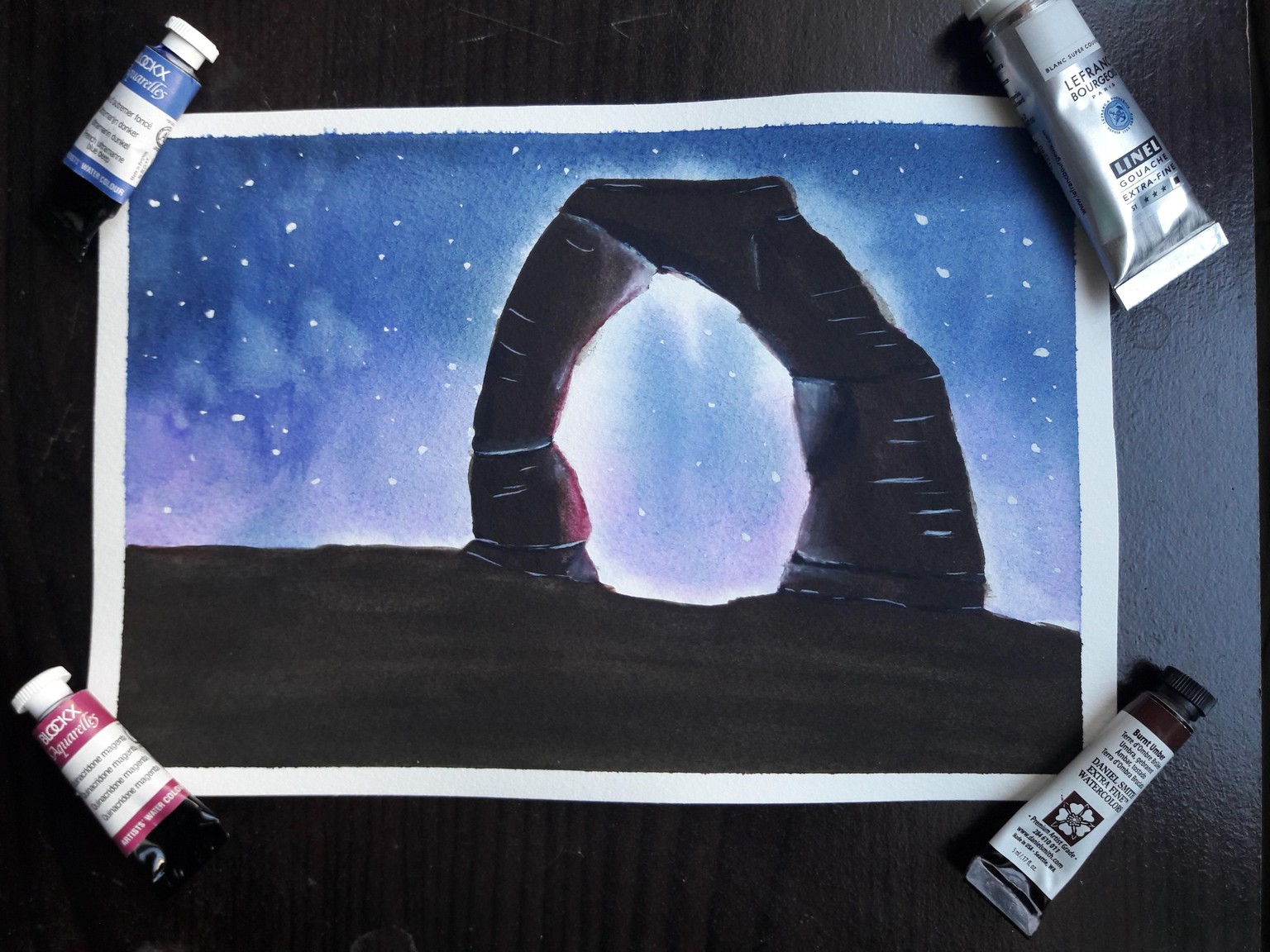 Delicate Arch and Palm trees - image 1 - student project