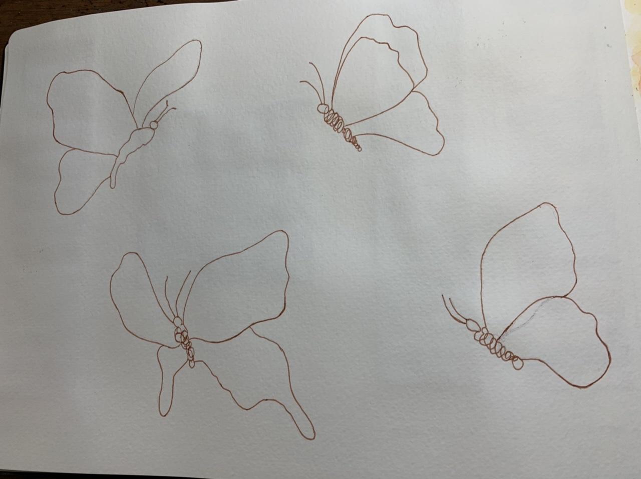 Anatomy of a Butterfly - image 1 - student project