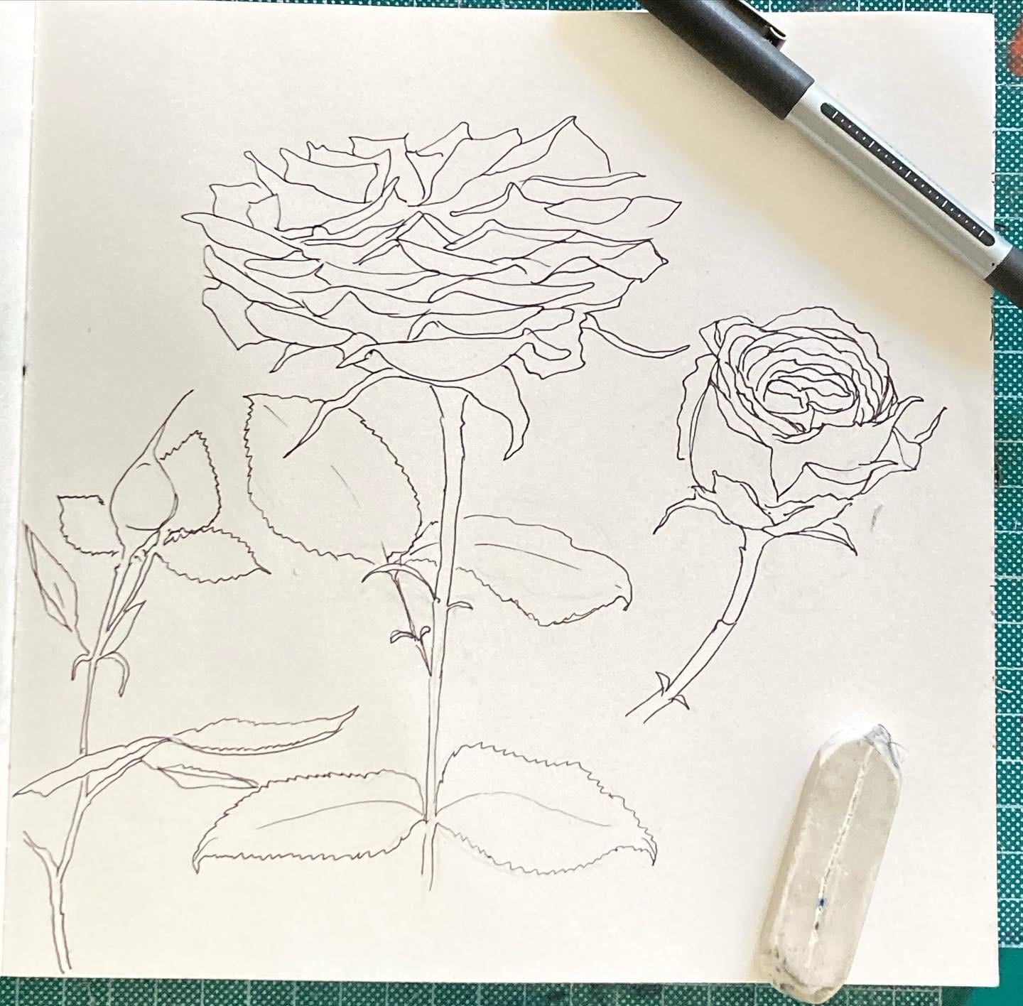 May roses - image 1 - student project