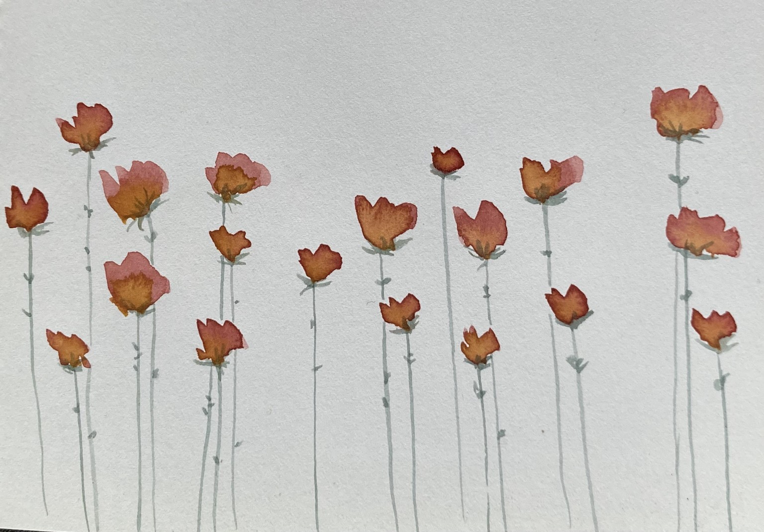 Botanicals - image 1 - student project