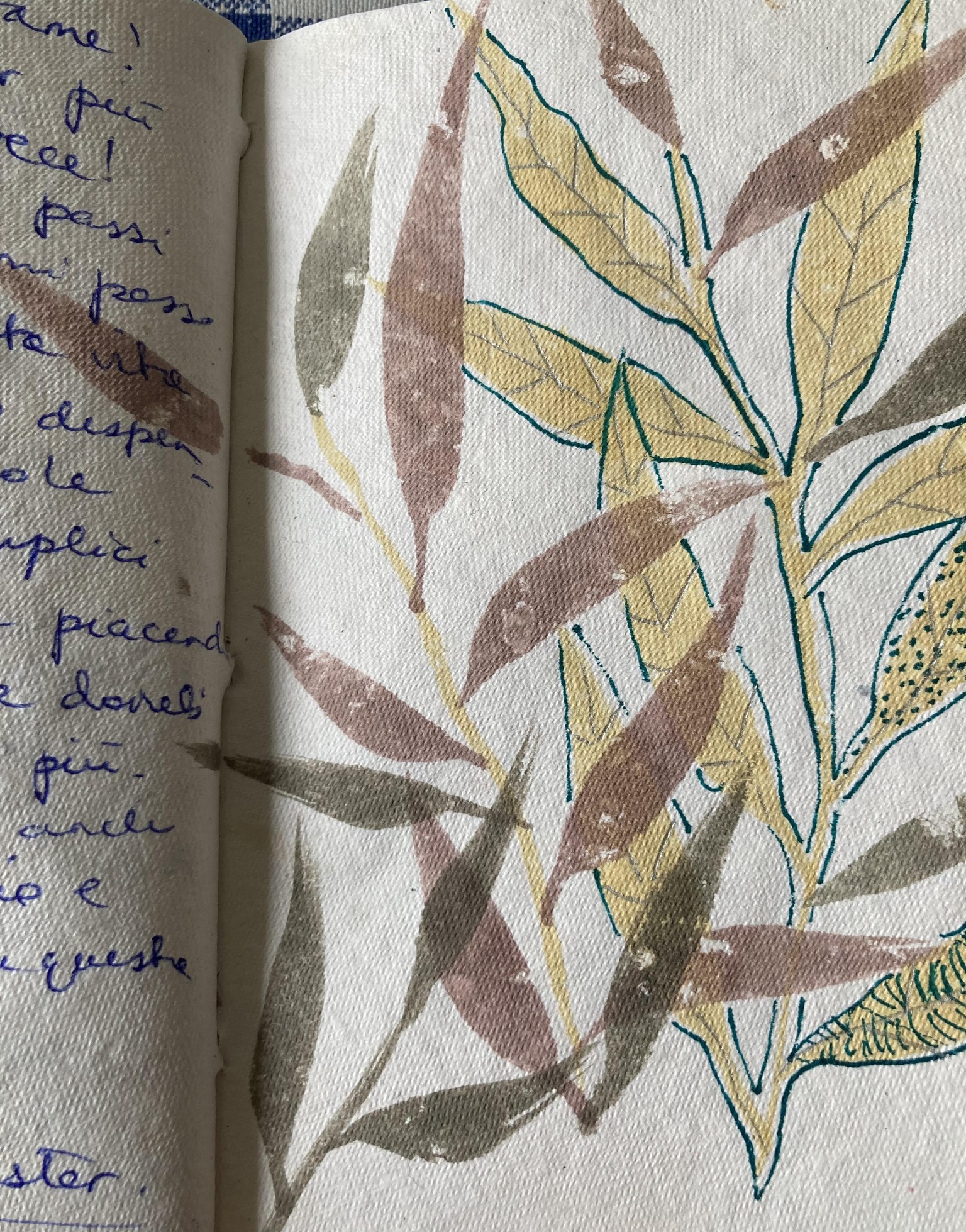 Botanicals - image 4 - student project