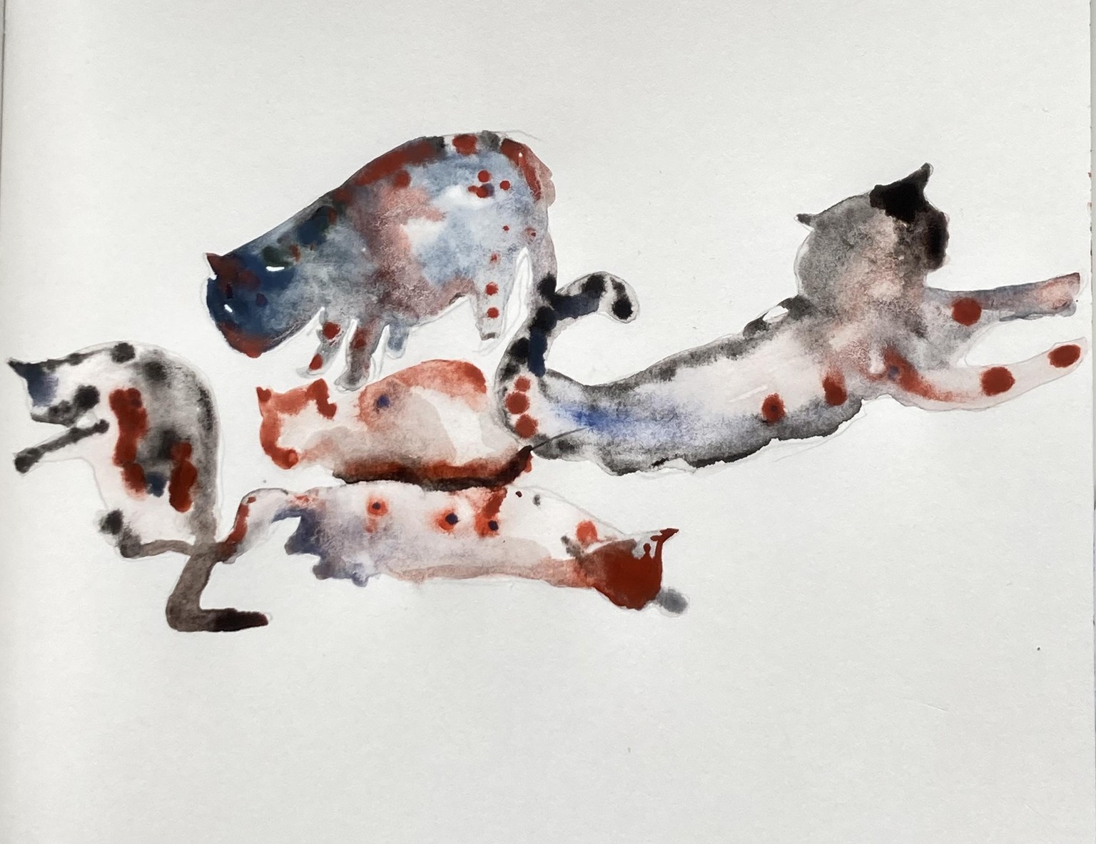 Playful watercolour - image 1 - student project
