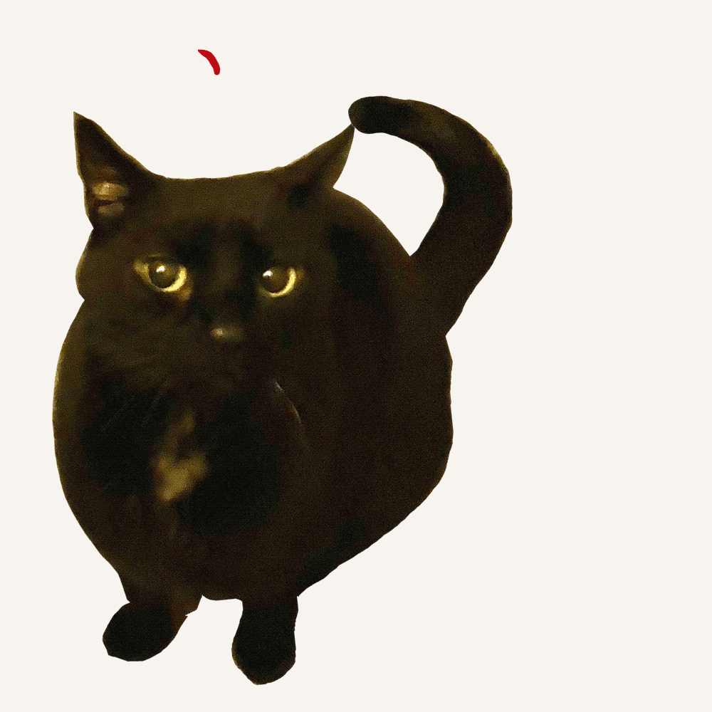 GIFs - image 2 - student project