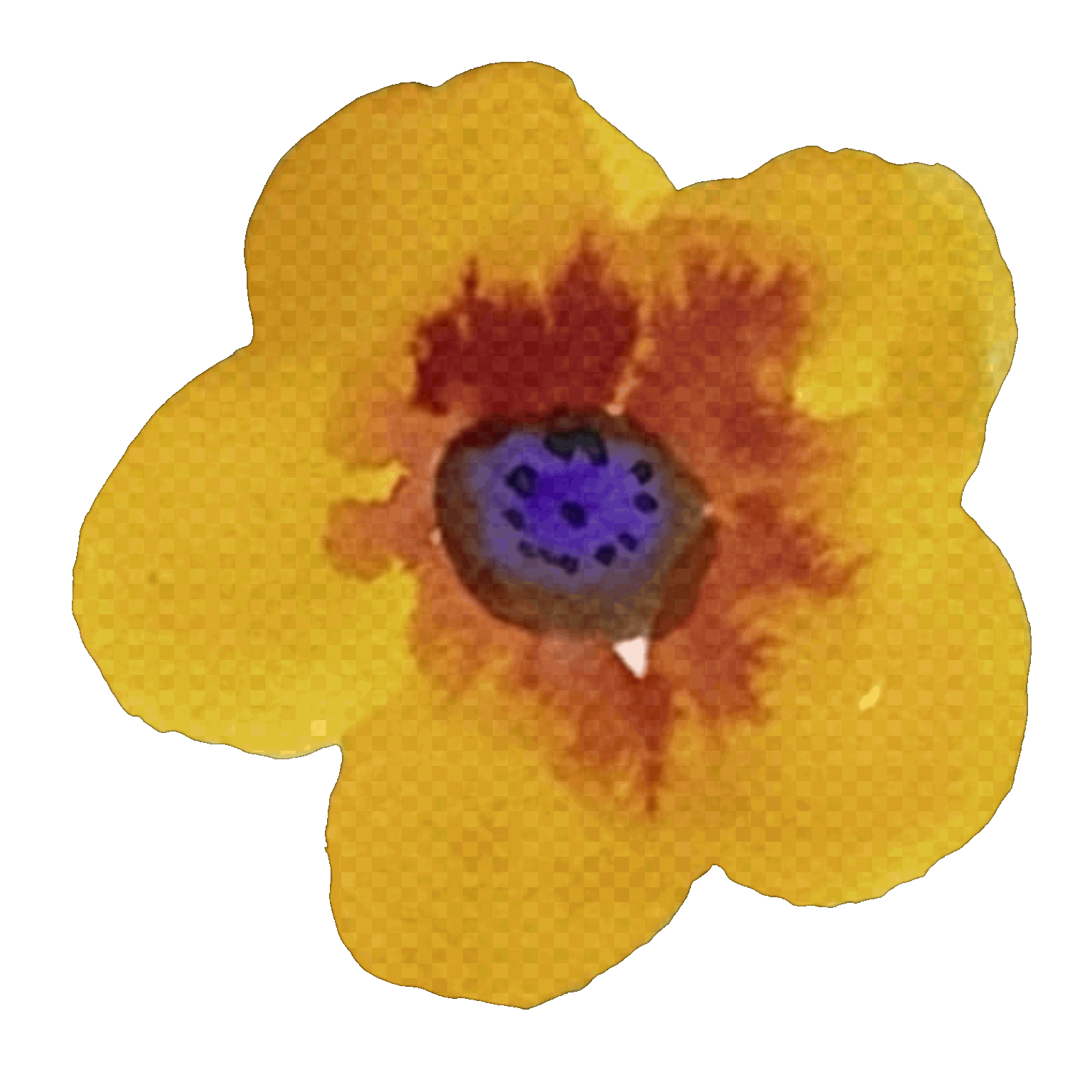 GIFs - image 1 - student project