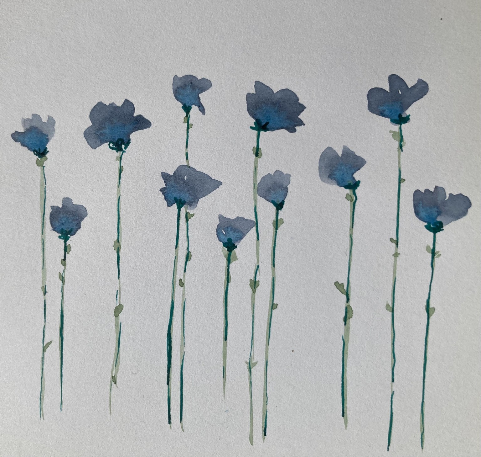 Botanicals - image 2 - student project