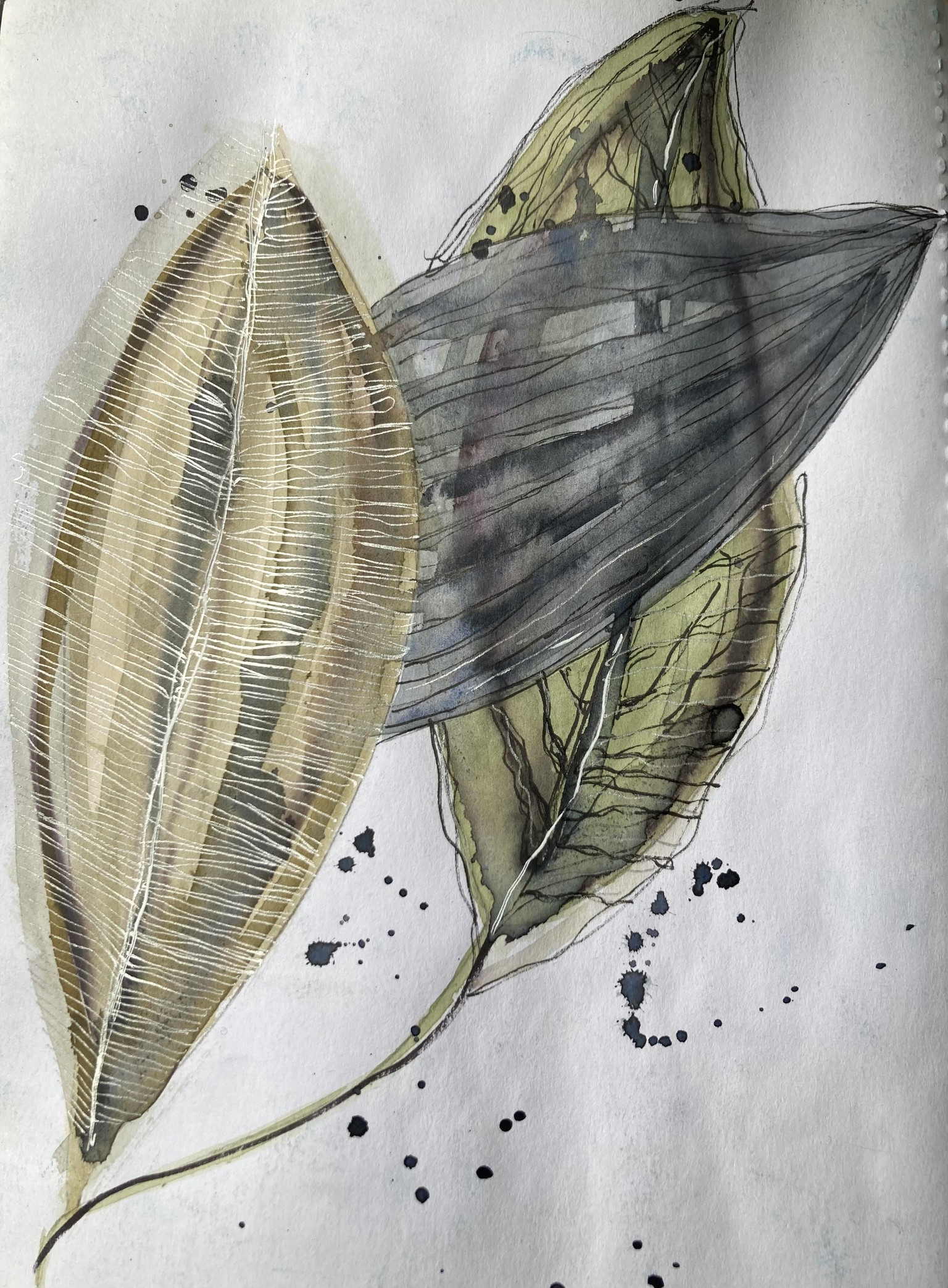 Botanicals - image 3 - student project