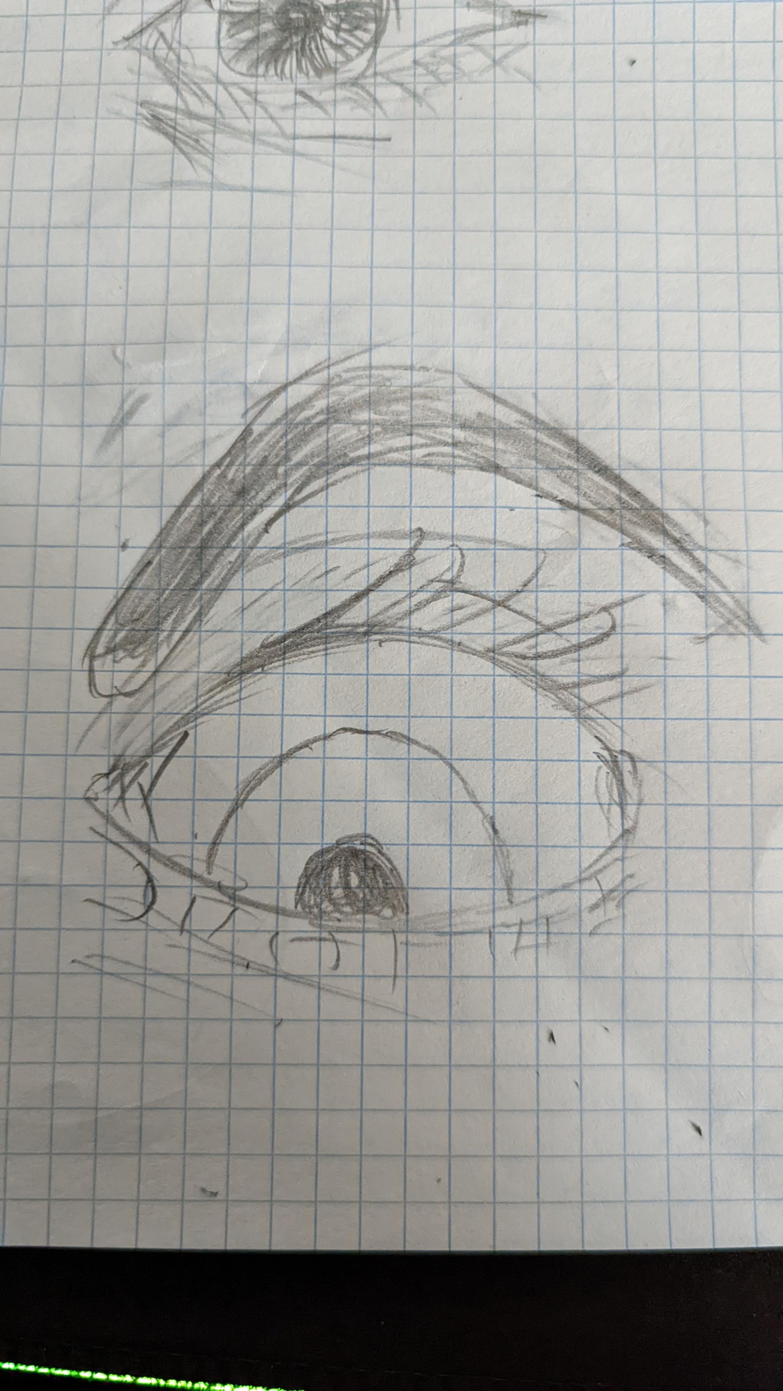 classproject Drawing Expressive Eyes for Beginners Margarita Bourkova - image 2 - student project