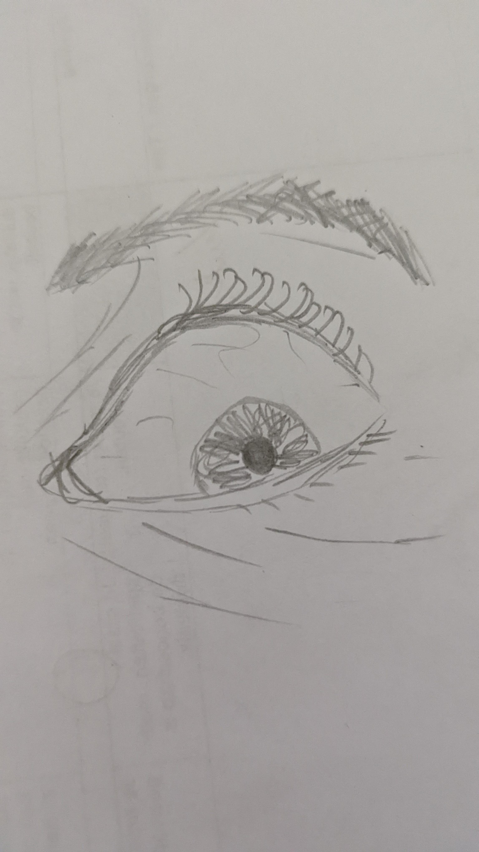 classproject Drawing Expressive Eyes for Beginners Margarita Bourkova - image 5 - student project