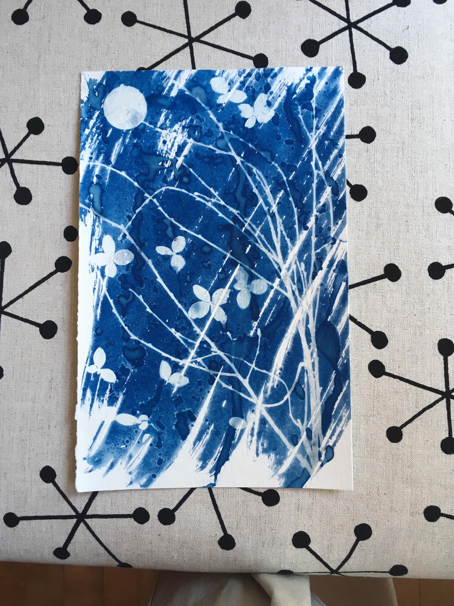 Wet cyanotype - image 3 - student project