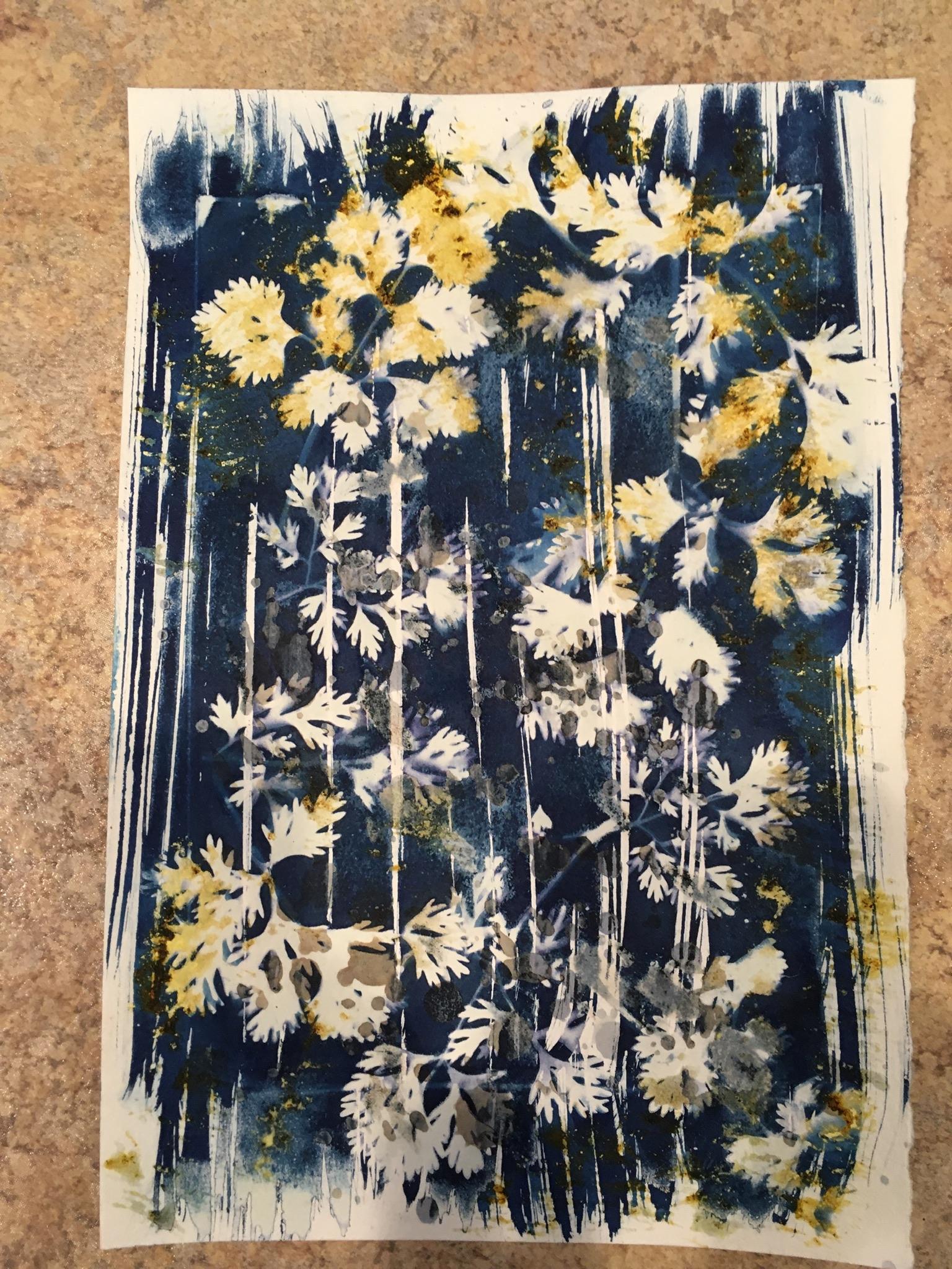 Wet cyanotype - image 2 - student project