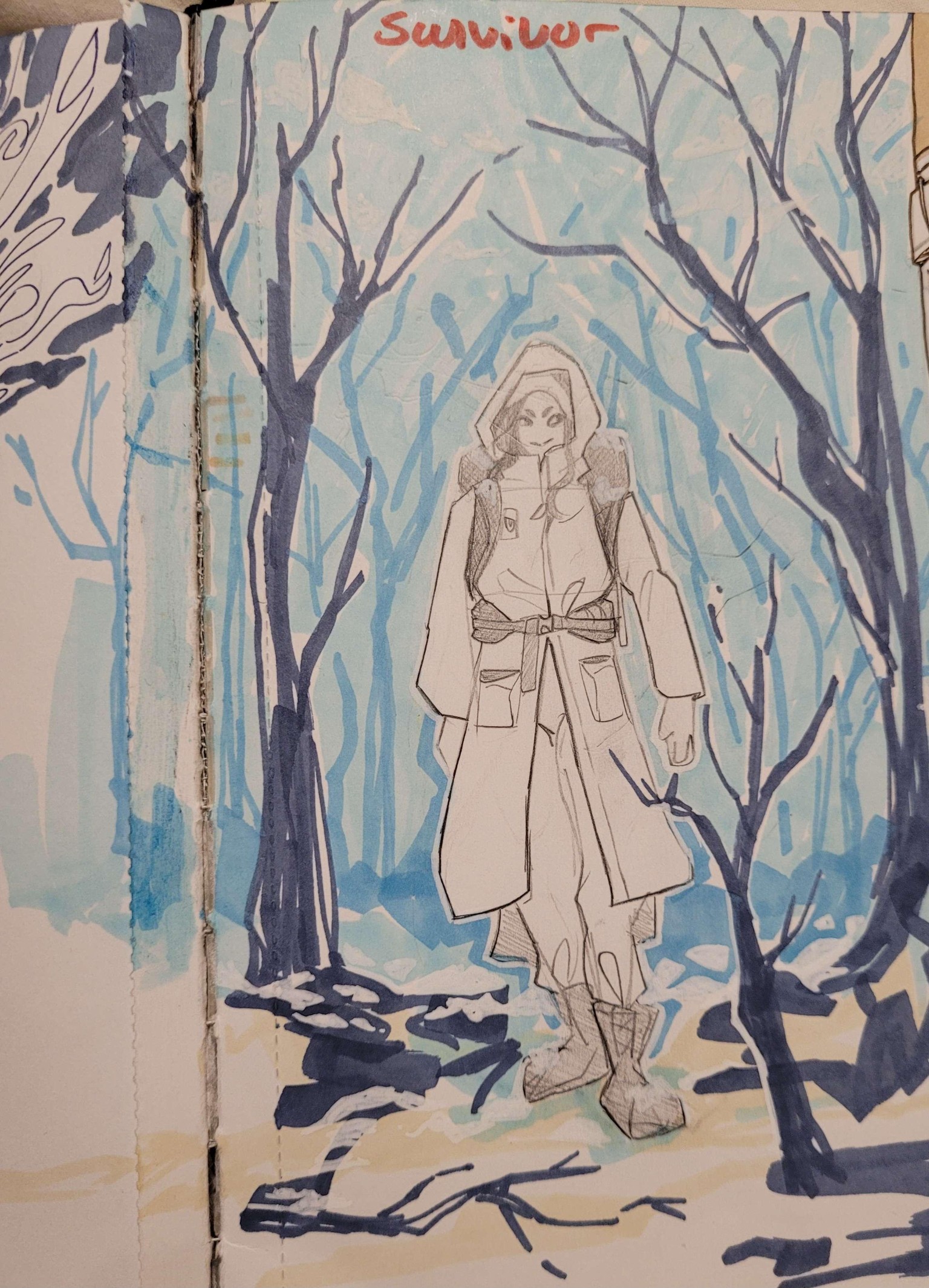 Wilderness Survivor - image 1 - student project