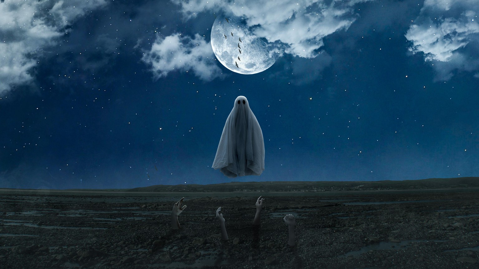 Compositing - image 1 - student project