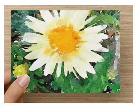 Botanical Watercolors- note cards - image 1 - student project