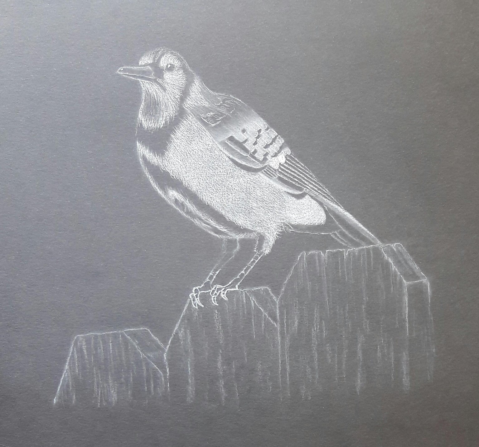 Final project - image 7 - student project