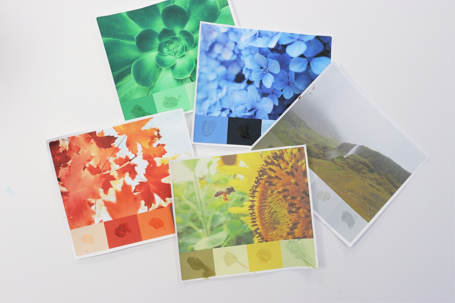 Colour Mixing Projects - image 4 - student project