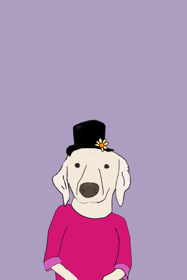 Amazing pet portrait! - image 1 - student project