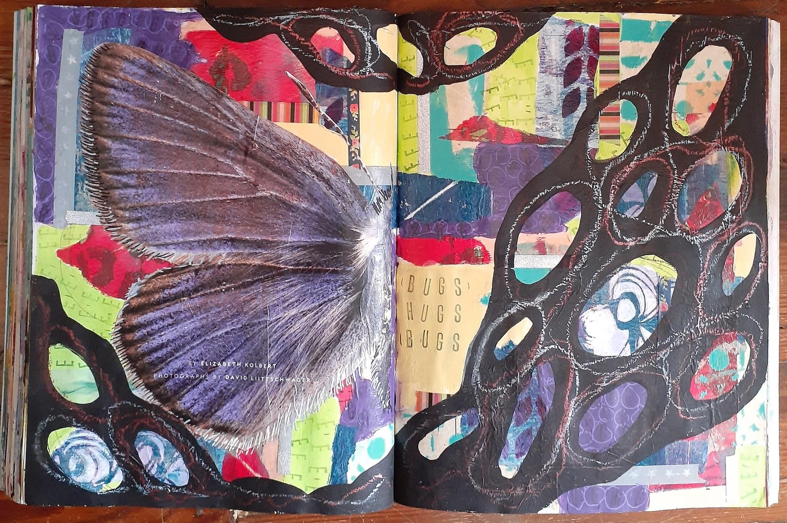 no more should-ing - image 1 - student project