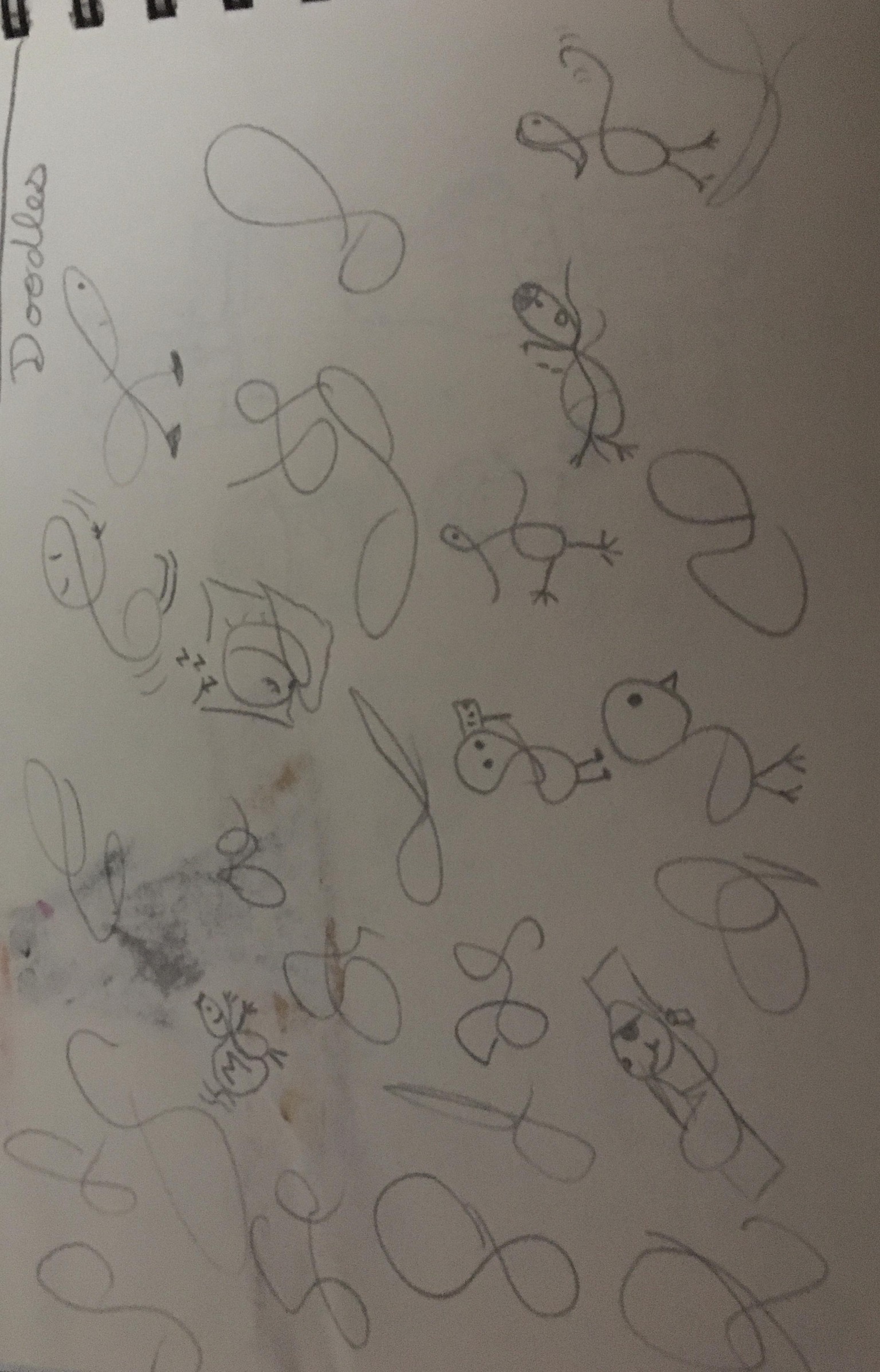 Sketchnotes - image 2 - student project