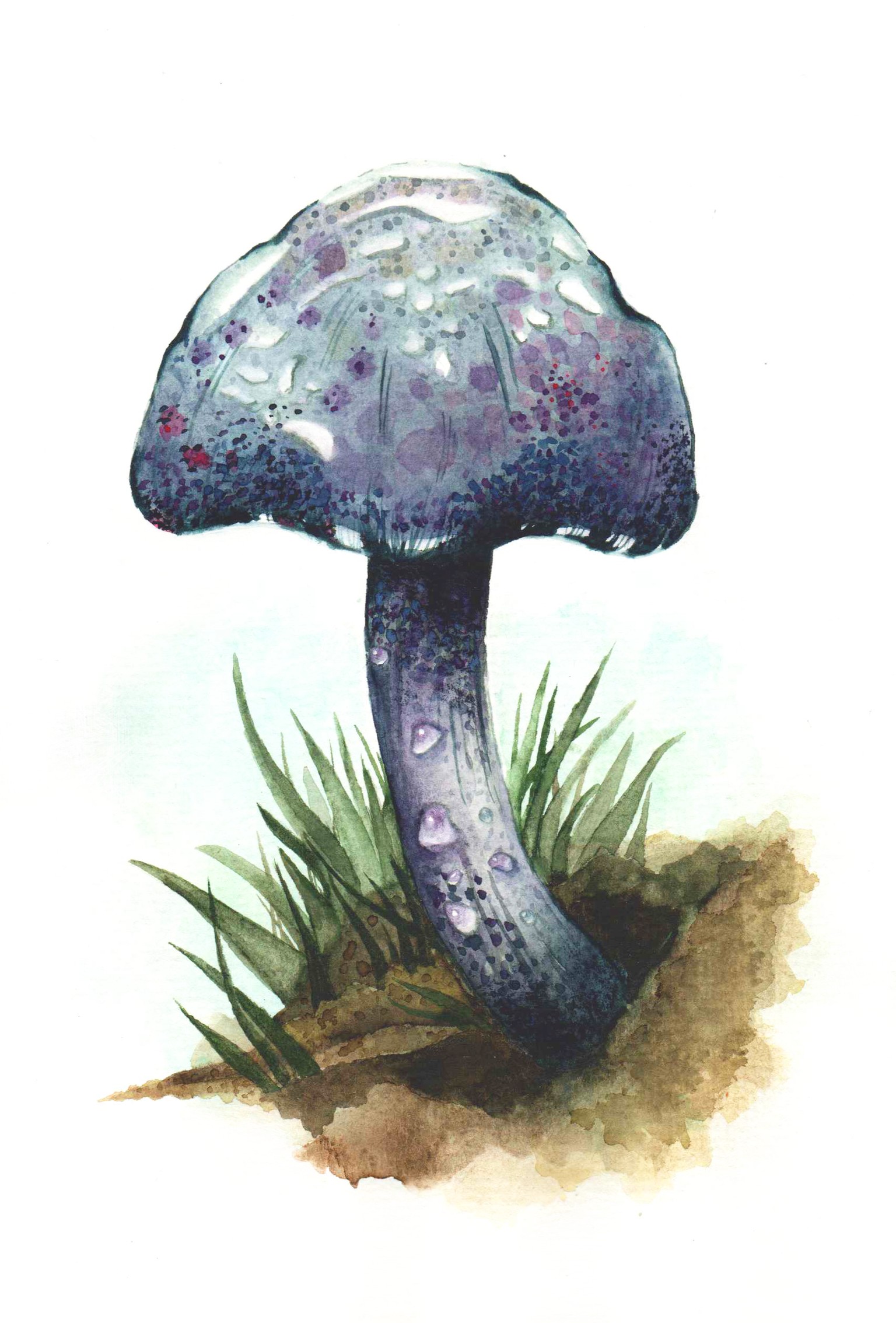 My speckled mushroom:) - image 1 - student project