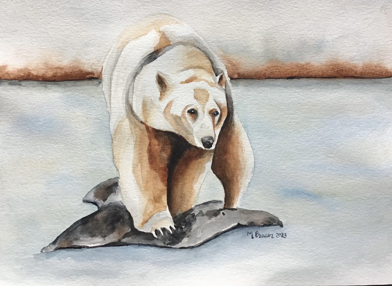 Spirit bear - image 1 - student project