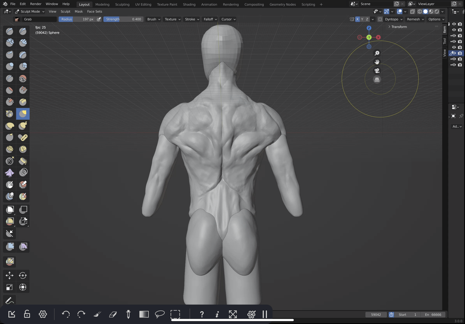 Basic anatomy sculpt - image 3 - student project