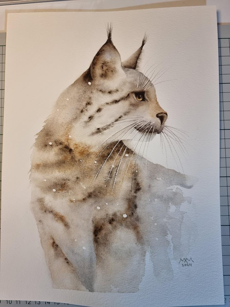 Iberian Lynx - image 1 - student project