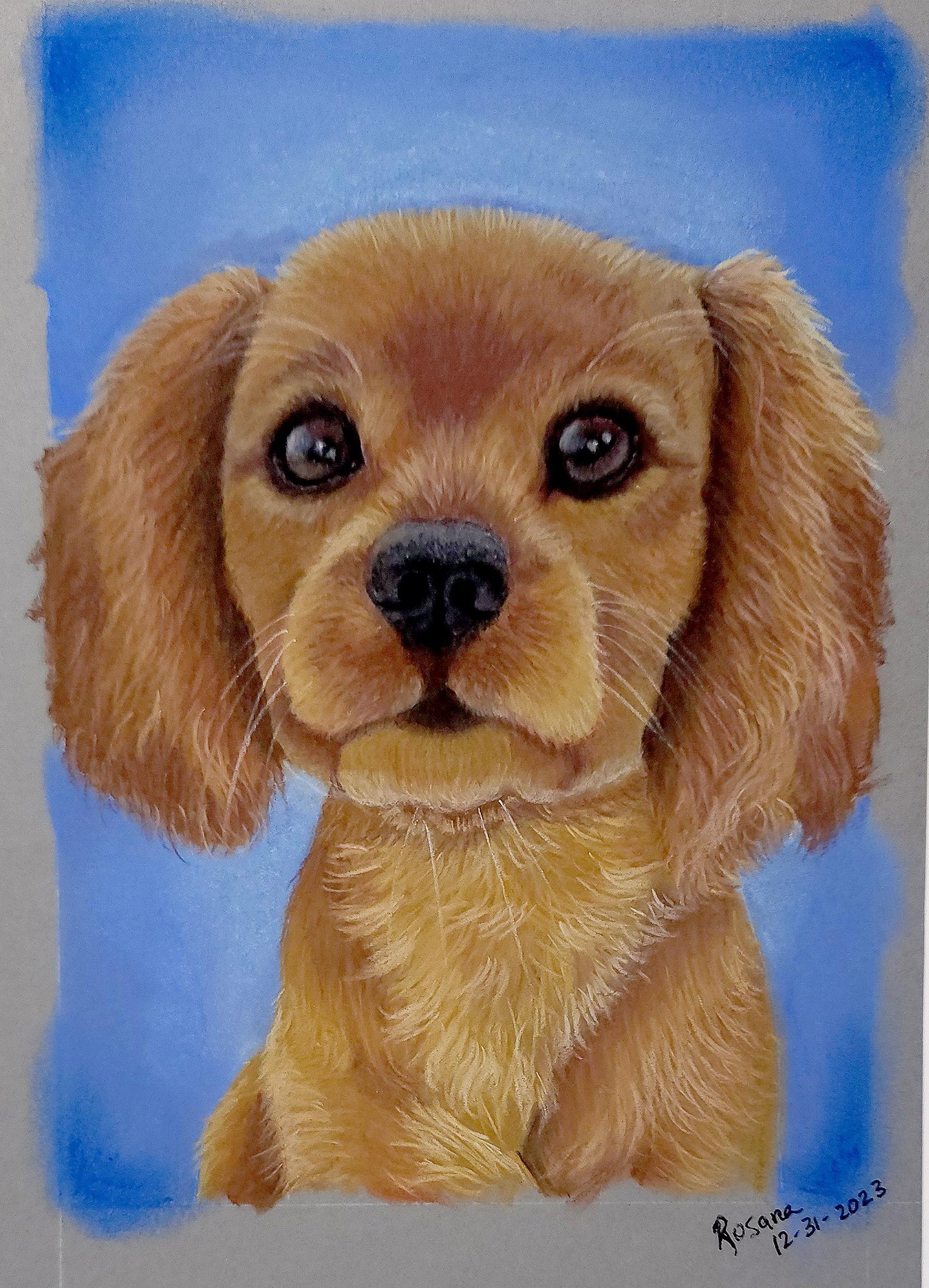 Cavalier Puppy - image 1 - student project