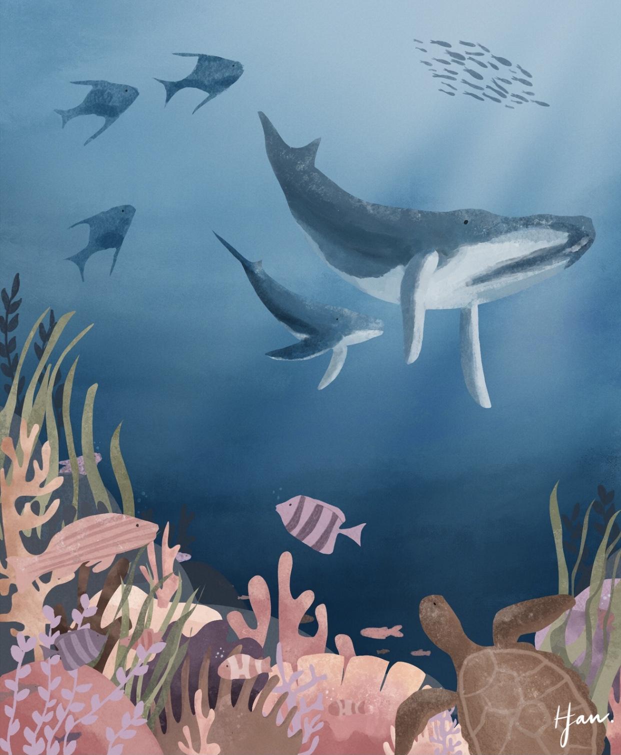Ocean Inspiration - image 2 - student project