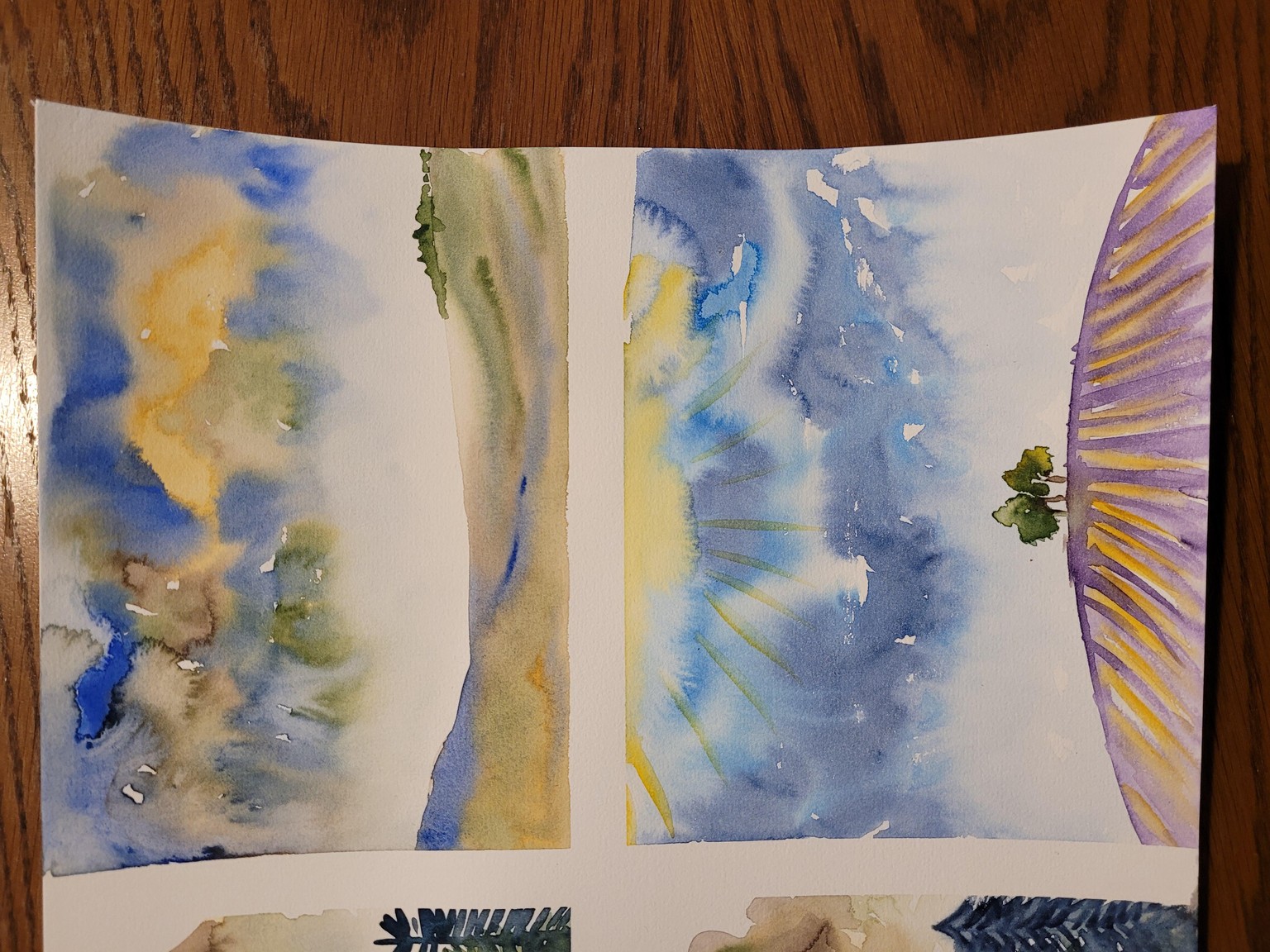 Skies - image 1 - student project