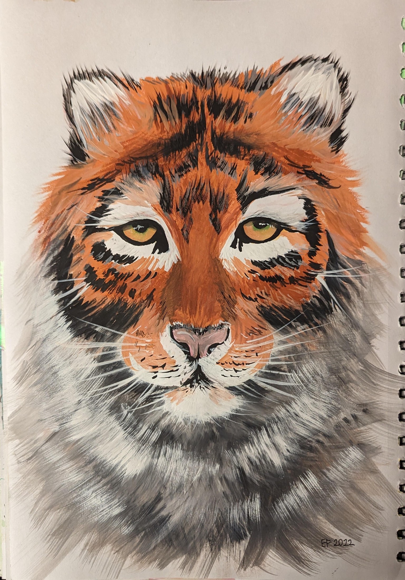 7 Day Challenge - image 2 - student project