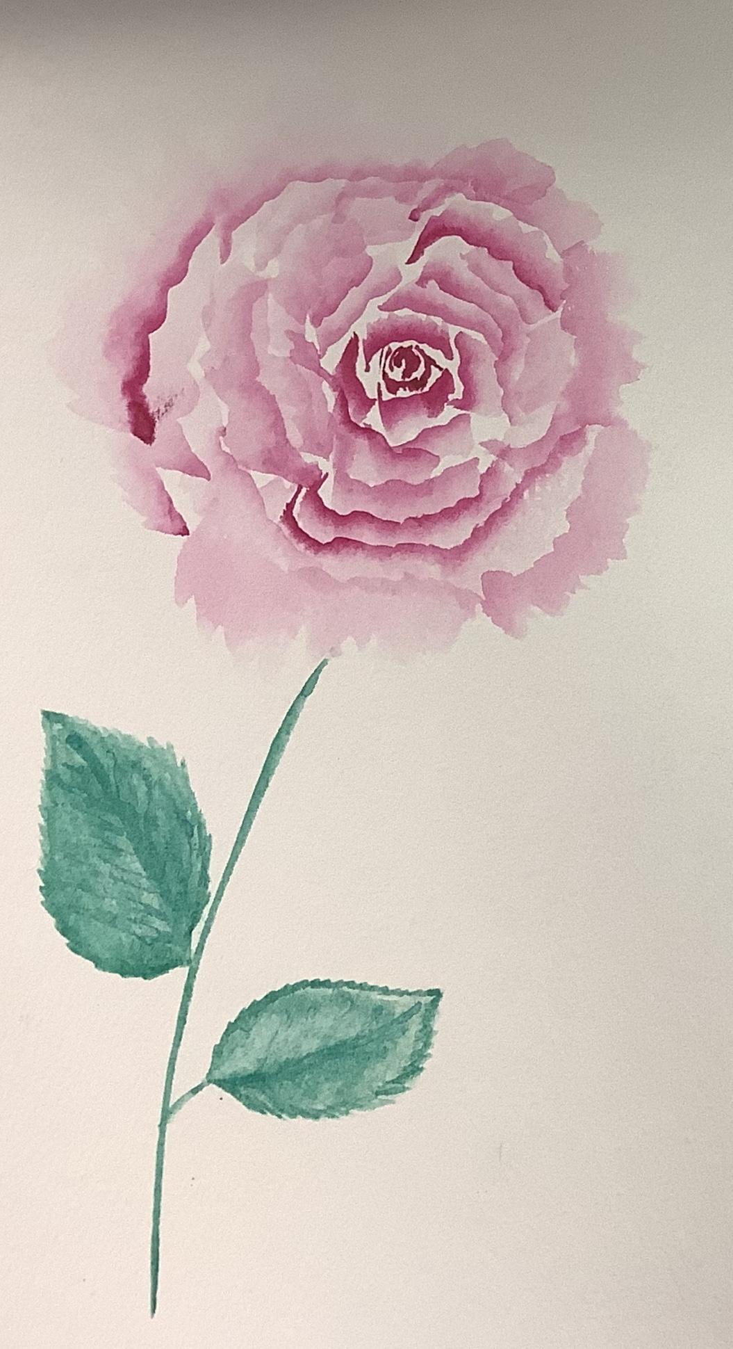 Loose pink rose - image 1 - student project