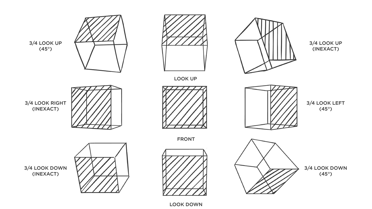 Drawing Head Angles (WIP) - image 5 - student project